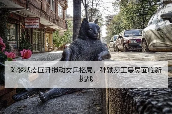 chen-meng-zhuang-tai-hui-sheng-jiao-dong-nv-ping-ge-ju-sun-ying-sha-wang-man-yu-mian-lin-xin-tiao-zhan-2-249.jpg