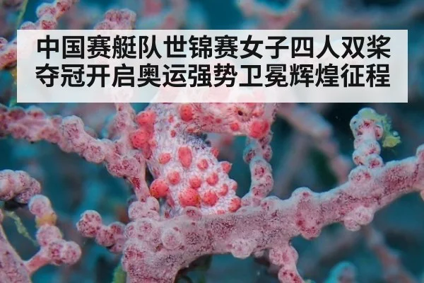 中国赛艇队世锦赛女子四人双桨夺冠开启奥运强势卫冕辉煌征程